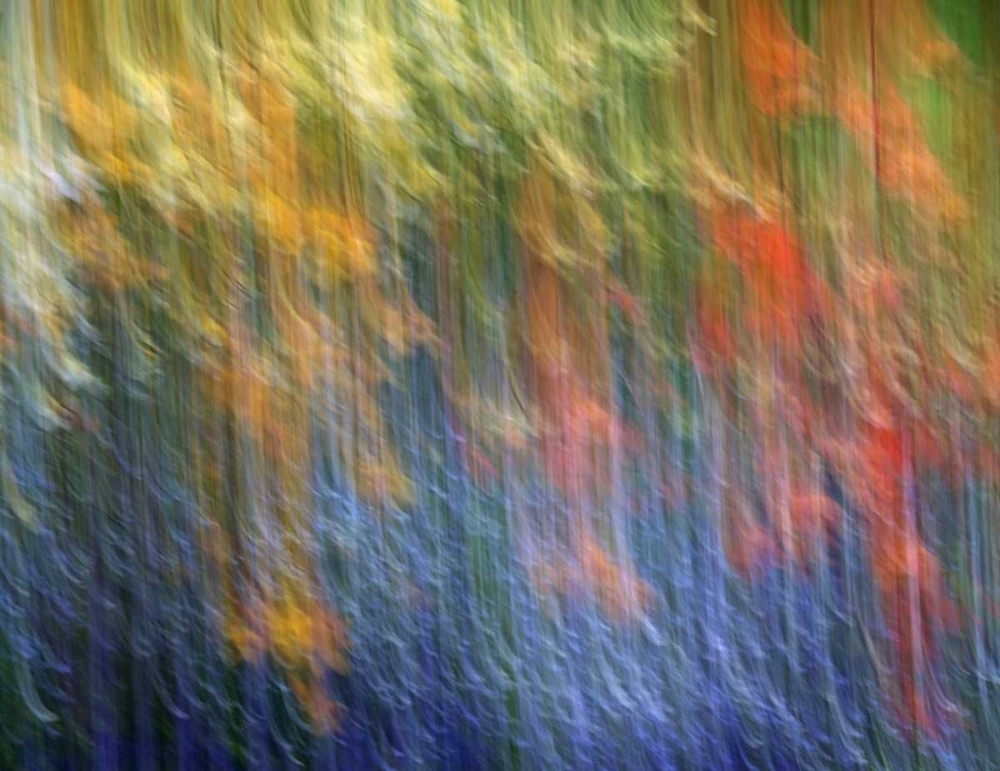 Canada Abstract blur of garden colors art print by Ellen Anon for $57.95 CAD